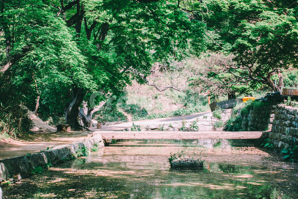 서산,절,개심사,포토스팟,개울,나무,자연,풍경,nature,landscape,휴식,힐링,rest,relaxation,healing,water,물,outdoors,옥외,land,땅