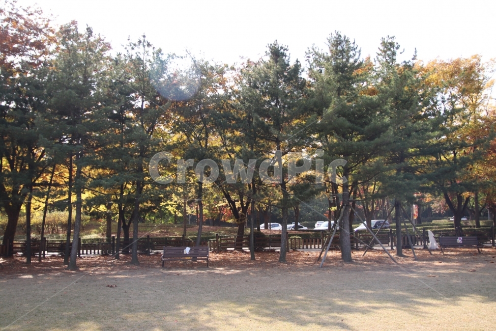 가을,낙엽,공원,나무,풍경,가을,계절,fall,autumn,season,tree,plant,식물