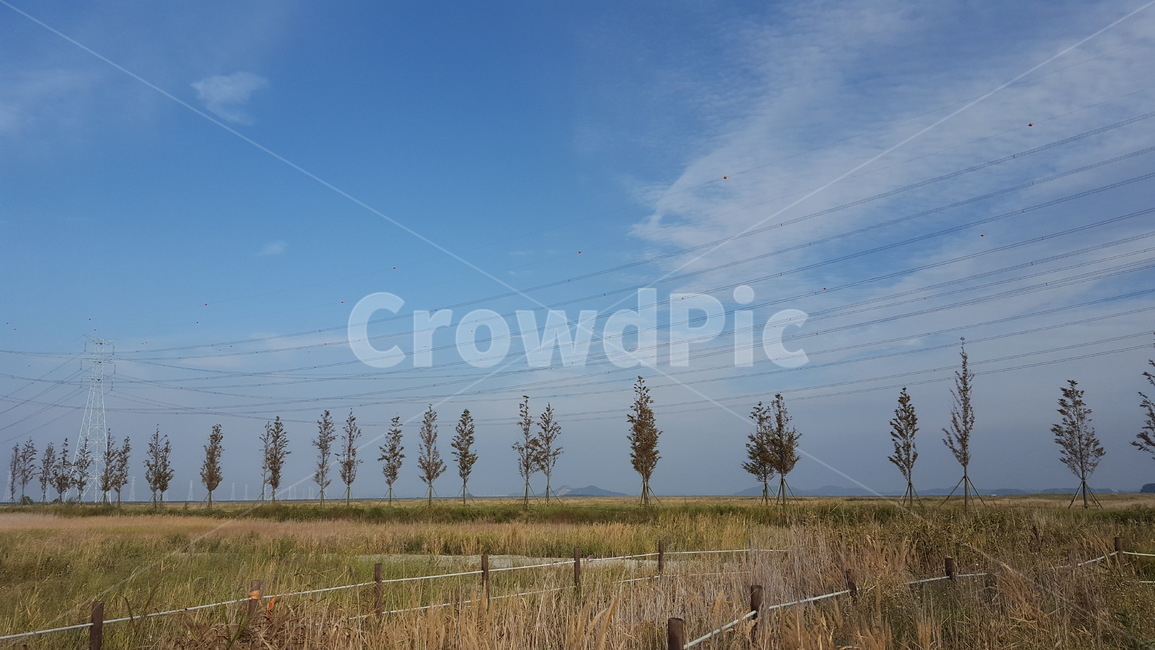 가을,들판,가로수,산책길,하늘,구름,가을빛,fall,autumn,walk,walkway,sky,clouds,street