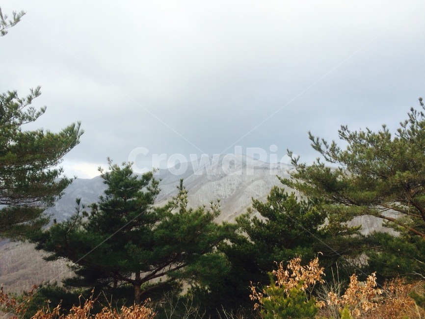 겨울,풍경,나무,등산,산악