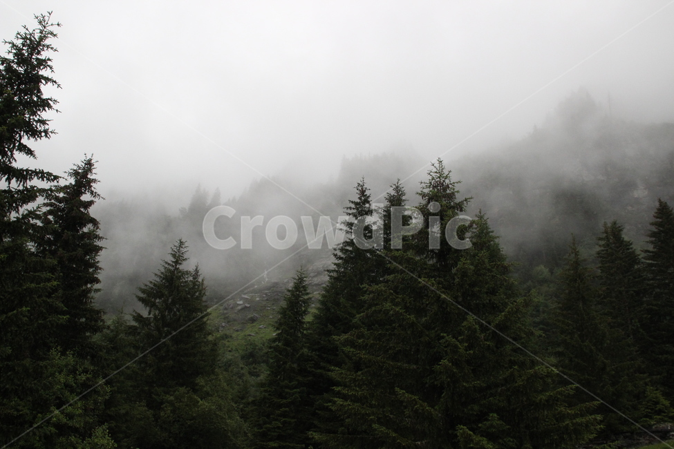 인터라켄,융프라우산,융프라우,스위스,interlaken,jungfraumt,jungfrau,train,swiss,switzerland,자연,풍경,nature,landscape,해외,외국,세계,foreign,oversea,world,세계자연풍경,해외자연풍경,외국자연풍경,world nature landscape,weather,날씨,outdoors,옥외