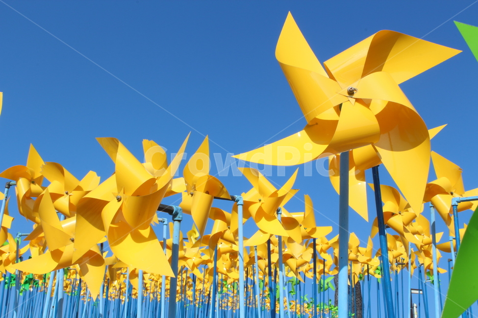 바람개비,바람,풍속,windmill,wind,임진각,breeze,yellow,노란색,사물,물건,오브젝트,thing,object,matter