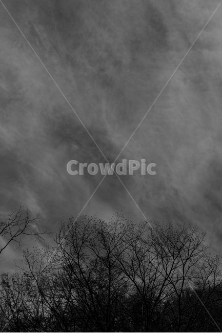 나무,하늘,흑백,흑백사진,우울함,쓸쓸함,감성사진,자연,풍경,nature,landscape,흑백,모노톤,monochrome,black and white,weather,날씨,outdoors,옥외