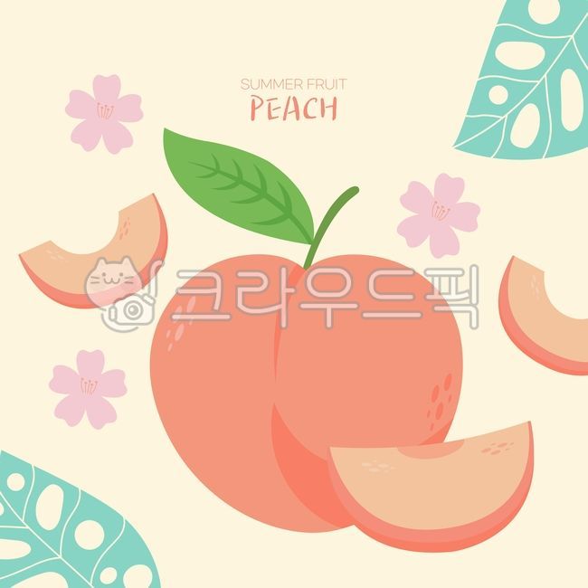 일러스트,배경,백그라운드,자연,계절,시즌,열대,열대식물,열대과일,음식,식물,복숭아,컬러풀,트로피컬,식품,나뭇잎,여름,과일,야자수,야자잎,푸드,건강,다이어트,컬러푸드