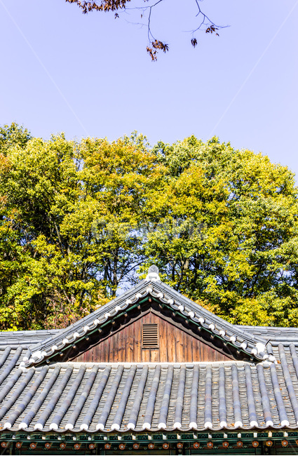 가을,기와,처마,전통,선,패턴,한국전통,한국문화,korean traditional,korean culture,건축물,건물외관,exterior,building,structure,architecture,construction