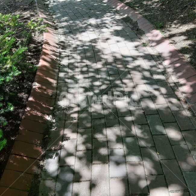 sidewalk, path, shade, walking path, Passage - Authentic Korean Stock ...