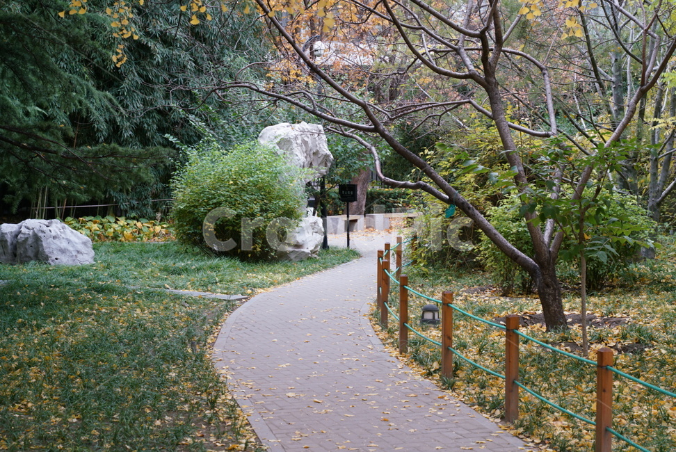 중국,베이징,쿠부치,풍경,공원,자연,풍경,nature,landscape,path,통로