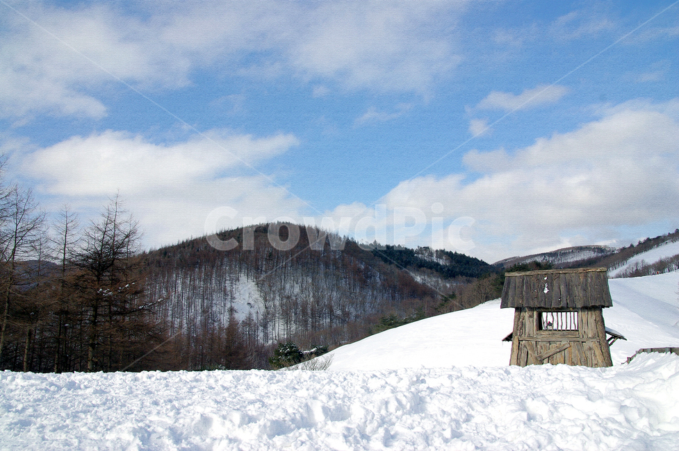 설경,자연,하늘,구름,눈밭,겨울,계절,winter,season