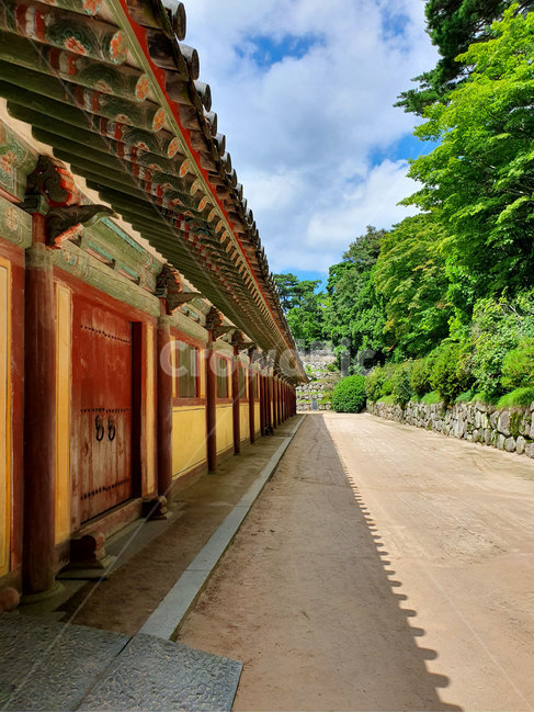 불국사,사찰,절,불교,부처님오신날,초파일,단청,기와,여름사찰,사찰풍경,오방색,경주,건축물,한국전통,한국문화,korean traditional,korean culture