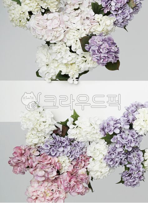 수국,꽃,꽃장식보드,꽃장식,꽃다발,꽃꽃이,flower,flowerbouquet,flowerarrangement,flowerdecorated,flowerdecoratedboard,background,백그라운드,배경소스,backgroundsource,source,배경