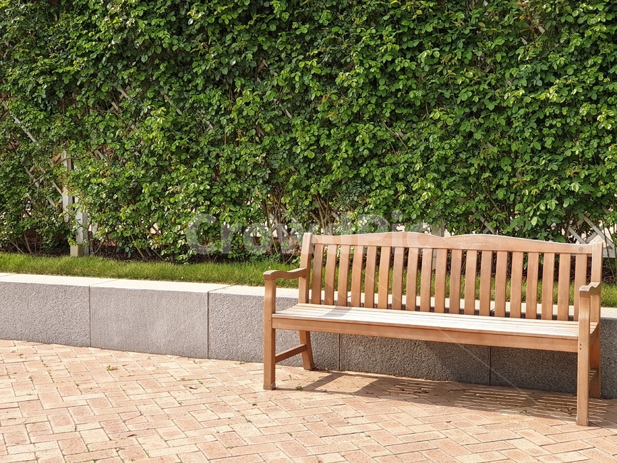의자,자연,분위기,감성,나무,목재,나무의자,풀,chair,wood,woodchair,mood