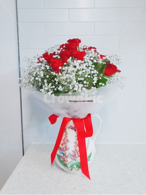 꽃,장미,빨간장미,rose,flower