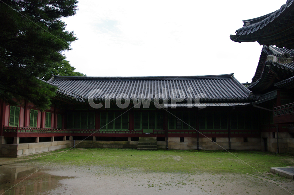 창덕궁,고궁,전각,한옥,전통건축,기와지붕,건축,traditional,한국전통,한국문화,korean traditional,korean culture,랜드마크,landmark,tourist attraction,한국랜드마크,한국관광지,한국명소,korea landmark,korea tourist attraction,건축물,건물외관,exterior,building,structure,architecture,construction