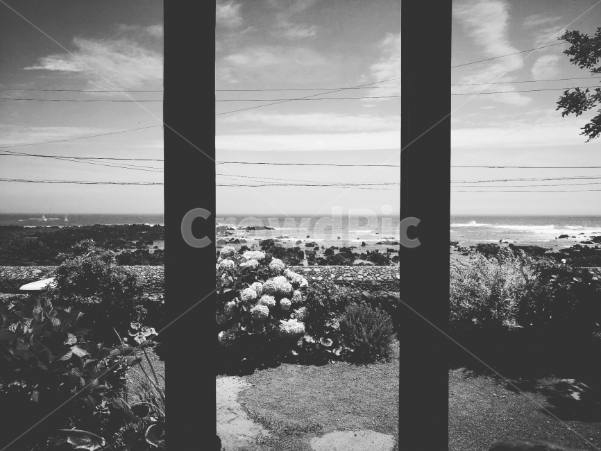 제주도,바다,감성,감성사진,바다사진,자연,풍경,nature,landscape,한국자연풍경,한국자연경관,korea nature landscape,제주도,jeju,jeju island,흑백,모노톤,monochrome,black and white