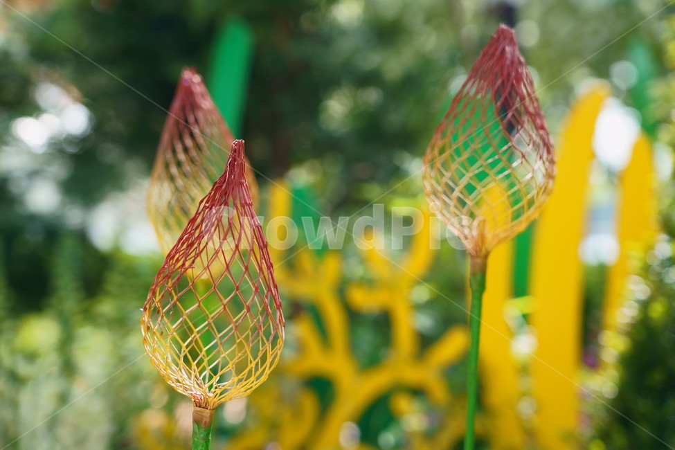꽃,꽃박람회,플라워,flower,예쁜꽃