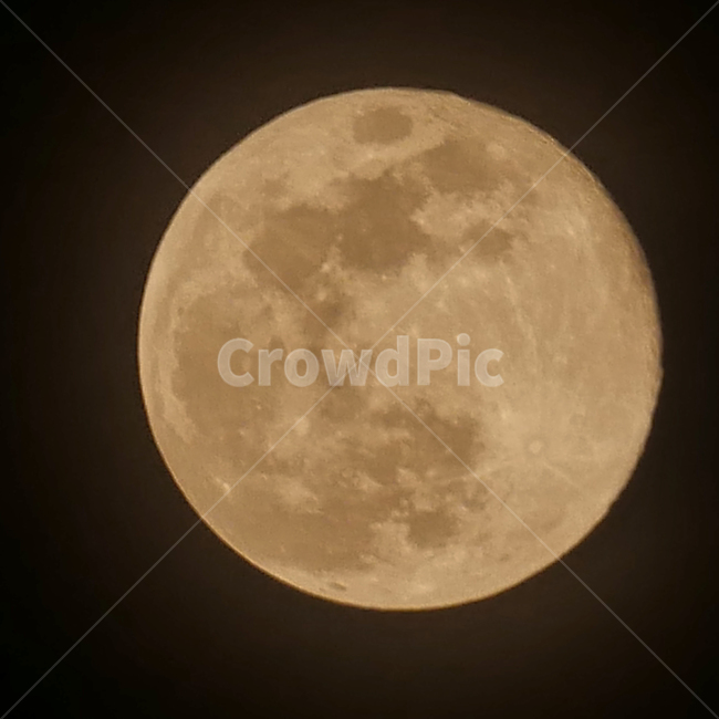 달,밤,보름달,자연,우주,옥외,천문학,outdoors,universe,nature,moon,space,night