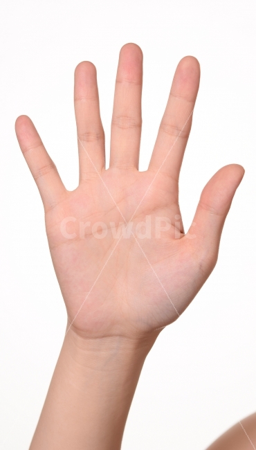 손,여자,동양인,팔,손바닥,다섯,팔목,손가락,사람,인물,인간,human,person,신체일부,몸,body,손,제스처,표시,손짓,표현,gesture,hand,sign,expression,연출,컨셉,콘셉,direction,concept,누끼,remove background