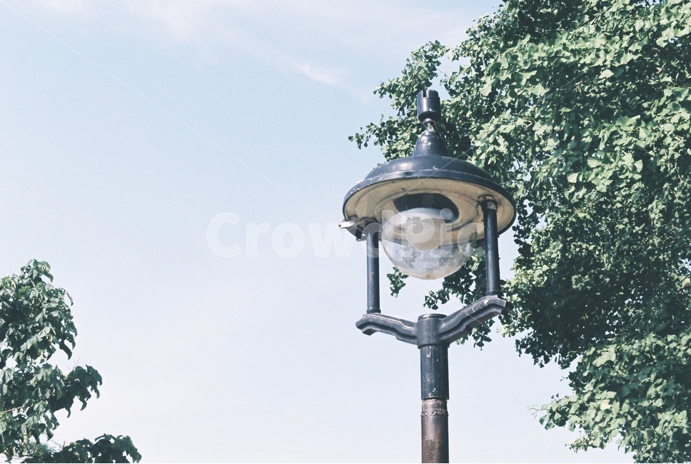 가로등,조명,나무,하늘,sky,streetlight,자연,풍경,nature,landscape,감성,sensible,feeling,lamp post,램프 포스트