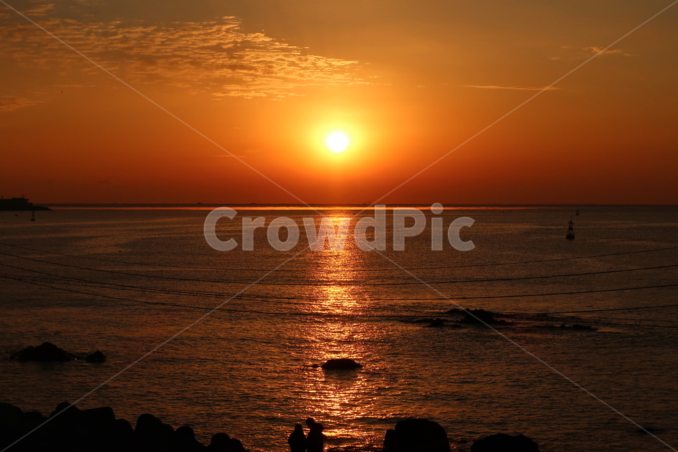 새해,일출,기장,기장바닷가,부산,바닷가,해돋이,1월1일,자연,풍경,nature,landscape,sunlight,햇빛,light,빛,flare,플레어