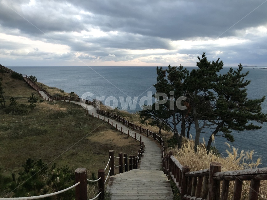 송악산,제주도,산책로,boardwalk,제주