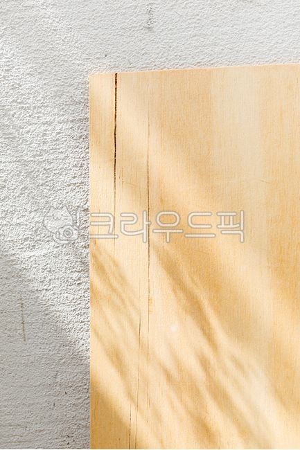 flower shadow,white wall,shadow,vintage,texture,tree,wood,Emotion,plywood,wall