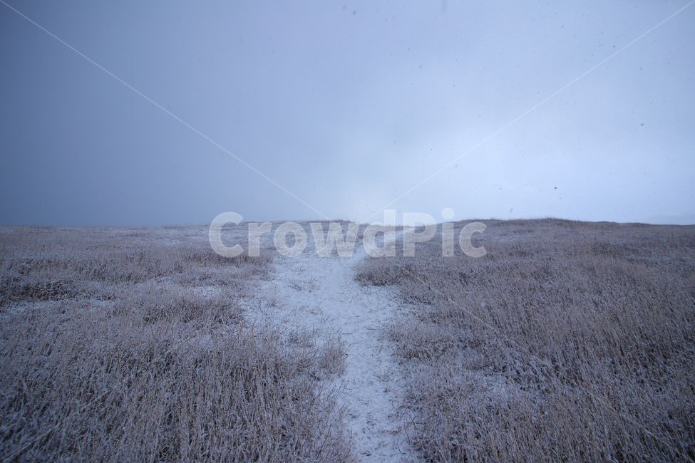nature,자연,outdoors,옥외,겨울,언덕,외로움,쓸쓸함,겨울,계절,winter,season