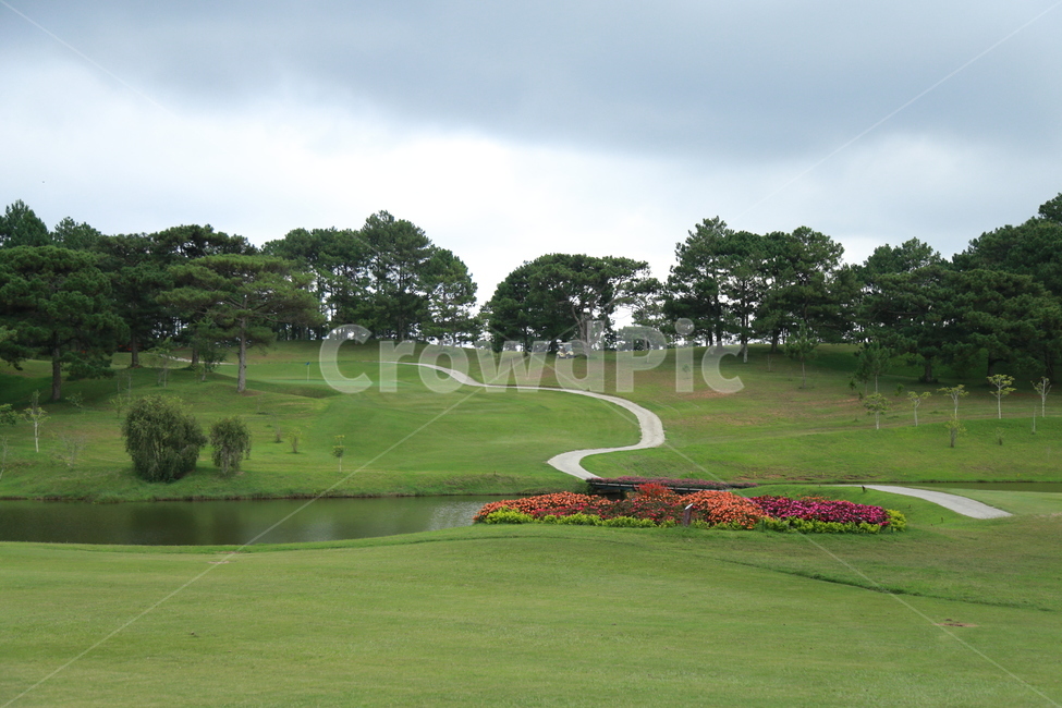 골프코스,골프,들,자연,nature,field,golf,golfcourse