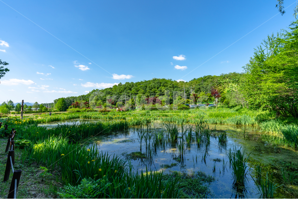 맑음,하늘,나무,푸르름,공원,숲,sky,tree,park,foreset,연못,호수,반영,자연,풍경,nature,landscape,land,땅,outdoors,옥외,water,물