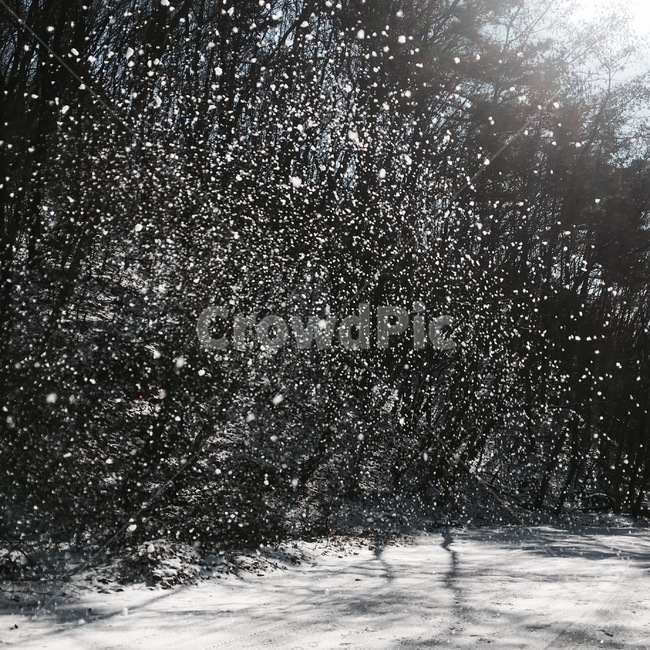 눈,겨울,산,옥외,outdoors,자연,nature