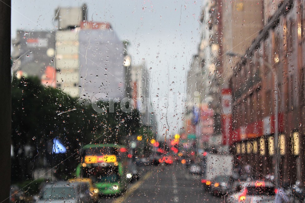비,풍경,대만,차도,창문,도시,풍경,city,landscape,비,비오는날,rain,rainy,교통,교통수단,traffic,transportation,metropolis,중심지,urban,어반,town,시티,building,건물,road,도로,downtown,도심
