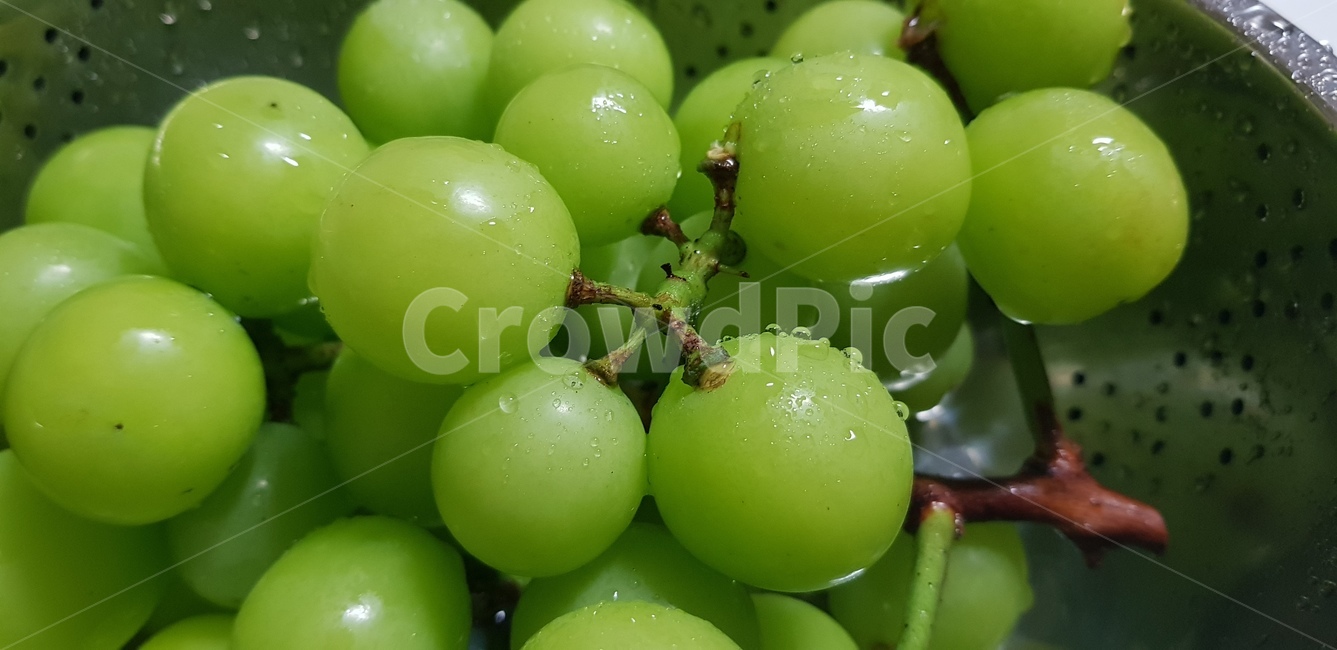 포도,과일,grapes,fruit,음식,food,음식,식재료,요리,food,cook,meal,dishes,food reserves,과일,열매,fruit
