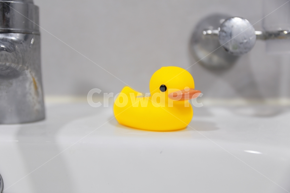 오리,화장실,욕실,온도계,노란색,사물,물건,오브젝트,thing,object,matter