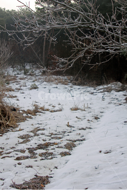 눈,시골,겨울,풍경,자연,겨울산,겨울,계절,winter,season,자연,풍경,nature,landscape