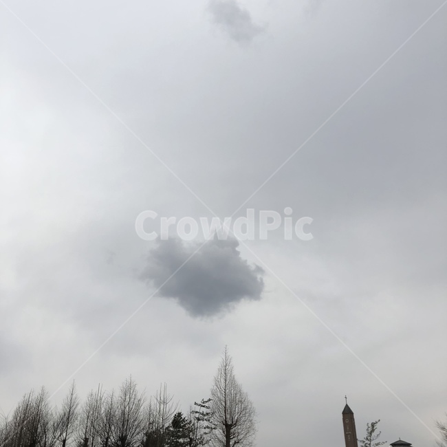 구름,먹구름,하늘,풍경,뭉개구름,자연,풍경,nature,landscape,tree,나무,plant,식물,fir,전나무