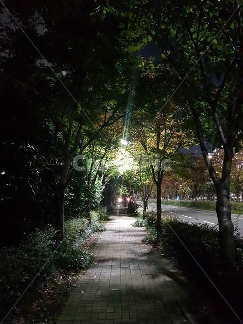 길,센과치히로,밤,밤길,환상,어두운,터널