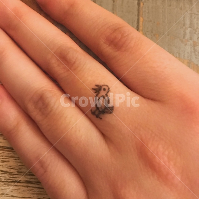 손,새,그림,hand,bird
