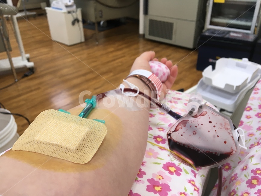 헌혈,헌혈의집,헌혈기계,전혈,혈장,팔,피,blood,밴드,사람,인물,인간,human,person,신체일부,몸,body,의료,의학,병원,medical,hospital,clinic