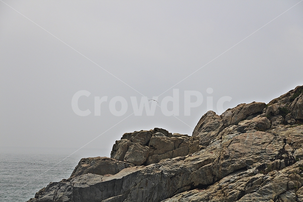 풍경,자연,돌,바다,새,하늘,자연,풍경,nature,landscape,cliff,낭떠러지,outdoors,옥외