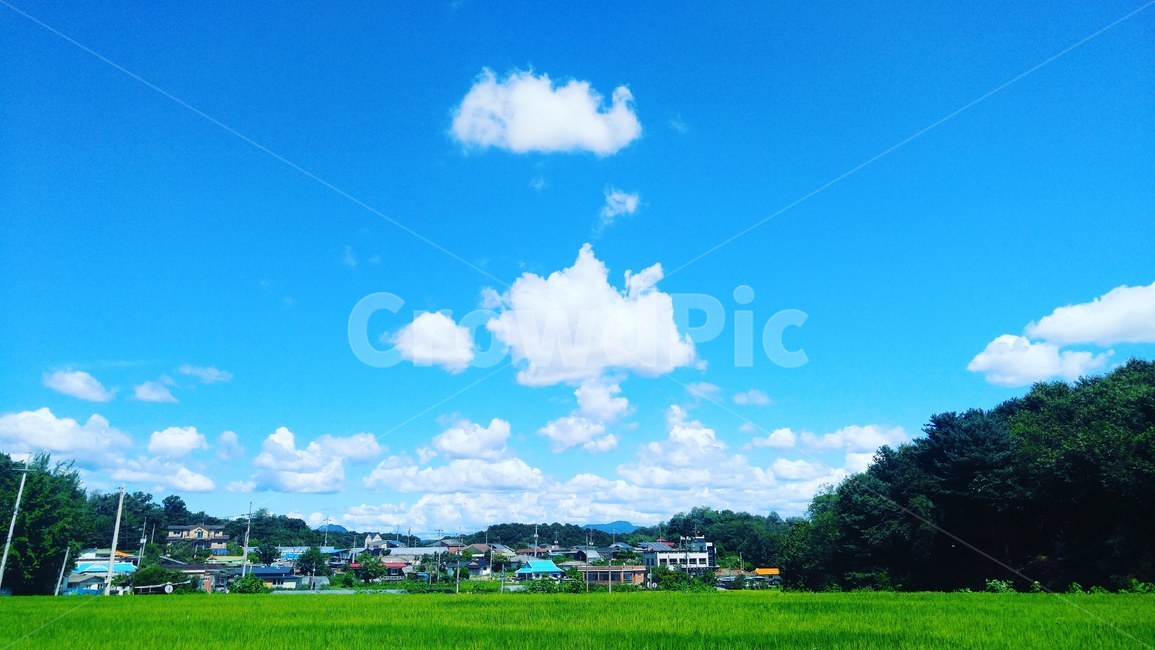 자연,nature,outdoors,하늘,풍경