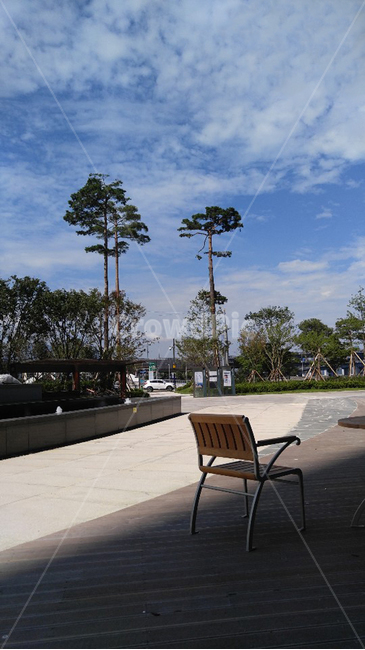 벤치,하늘,의자,쉼,날씨좋은날,나무,tree,오후,sky,cloud