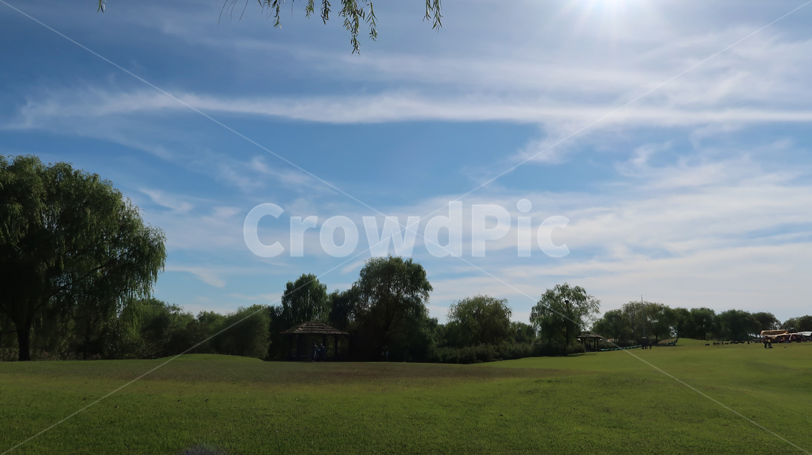 옥외,grass,잔디,plant,식물,field,들,공원,park,야외,outdoors,tree,나무,sky,하늘,blue,green,초록,가을,autumn,fall,자연,풍경,nature,landscape