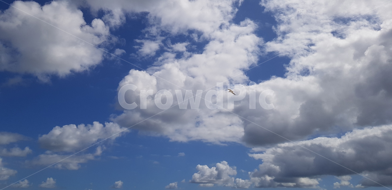 활공,weather,날씨,sky,하늘,구름,cloud,자연,풍경,nature,landscape,adventure,모험,leisure activities,레저 활동,gliding,outdoors,옥외