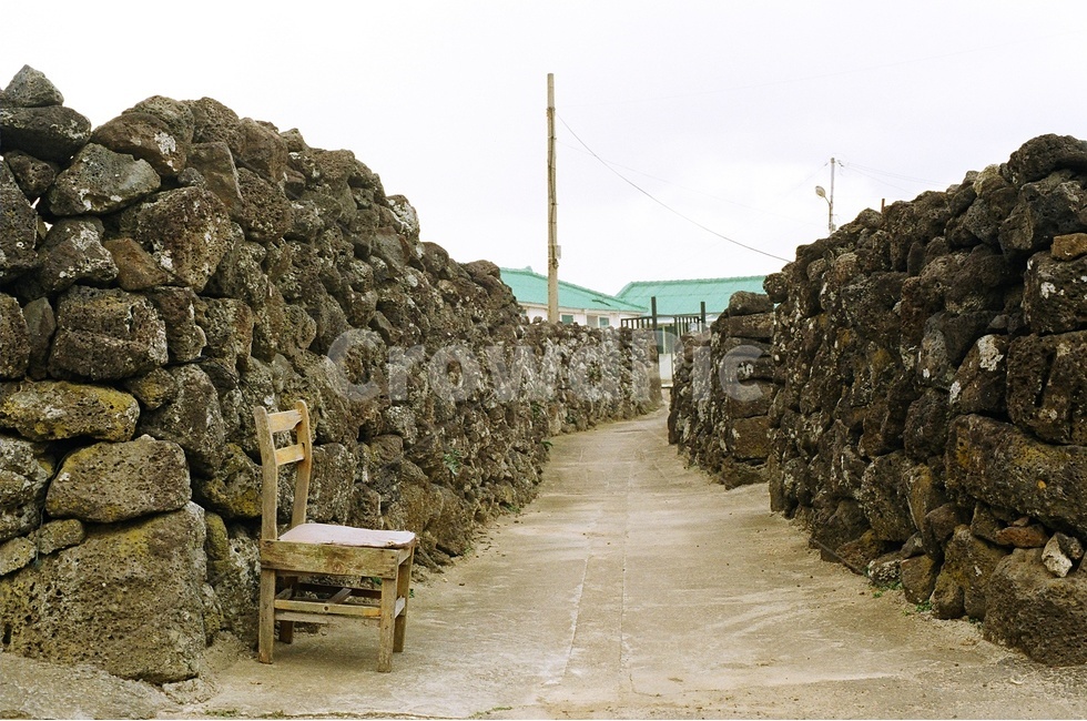 필름사진,제주도,감성사진,풍경사진,골목길,제주도,jeju,jeju island,골목길,alley,wood,나무,wall,벽