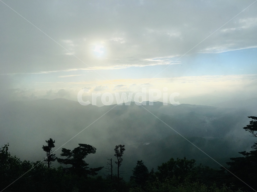 등산,발왕산,강원도,풍경,나무,자연,여름,한국자연풍경,구름,산,경관,하늘,평창,경치,한국자연경관,여름풍경