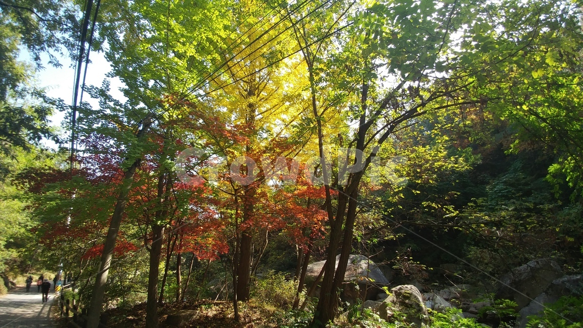 감성,가을,산,등산,자연