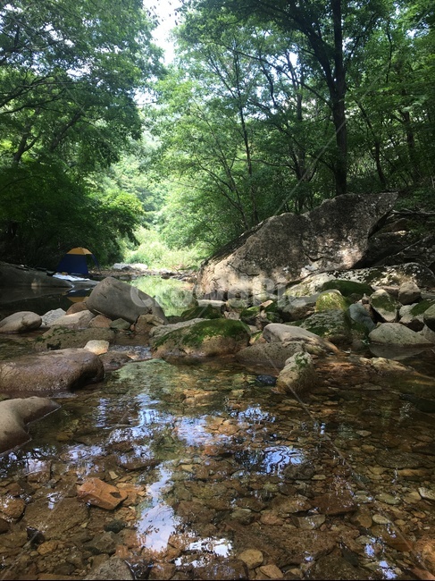 계곡,자연,여름,물가,물,자연,풍경,nature,landscape