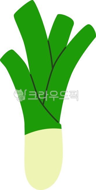 대파, 파, 채소, 야채, 식재료, 사진,이미지,일러스트,캘리그라피 - Lasha작가
