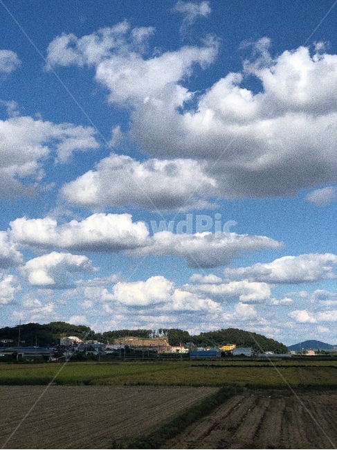 구름,하늘,풍경,자연,시골,논,밭,weather,날씨,nature,outdoors,옥외,cloud,cumulus,적운,sky,경치,농업,농사,agriculture,farming,farming industry