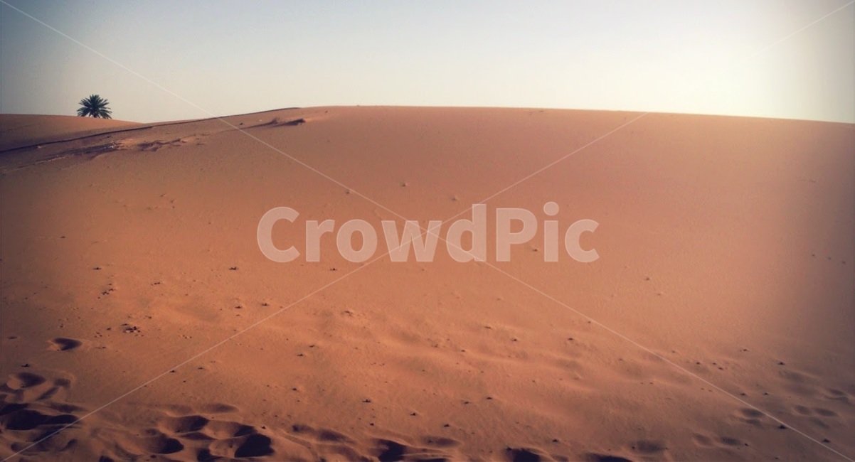 사막,사하라,풍경,여름,모로코,desert,sahara,morocco,summer,자연,풍경,nature,landscape,해외,외국,세계,foreign,oversea,world,세계자연풍경,해외자연풍경,외국자연풍경,world nature landscape,soil,흙,sand,모래,outdoors,옥외