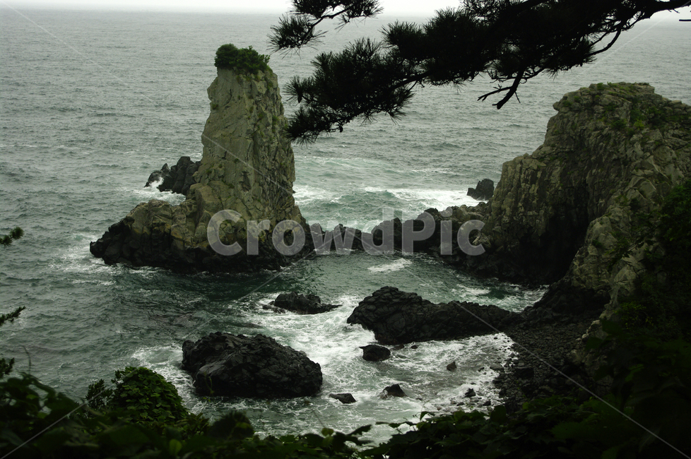 제주,바다,외돌개,바위,풍경,자연,풍경,nature,landscape,한국자연풍경,한국자연경관,korea nature landscape,제주도,jeju,jeju island,outdoors,옥외,sea,ocean,대양,water,물,land,땅,shoreline,해안선,cliff,낭떠러지,coast,연안,promontory,곶